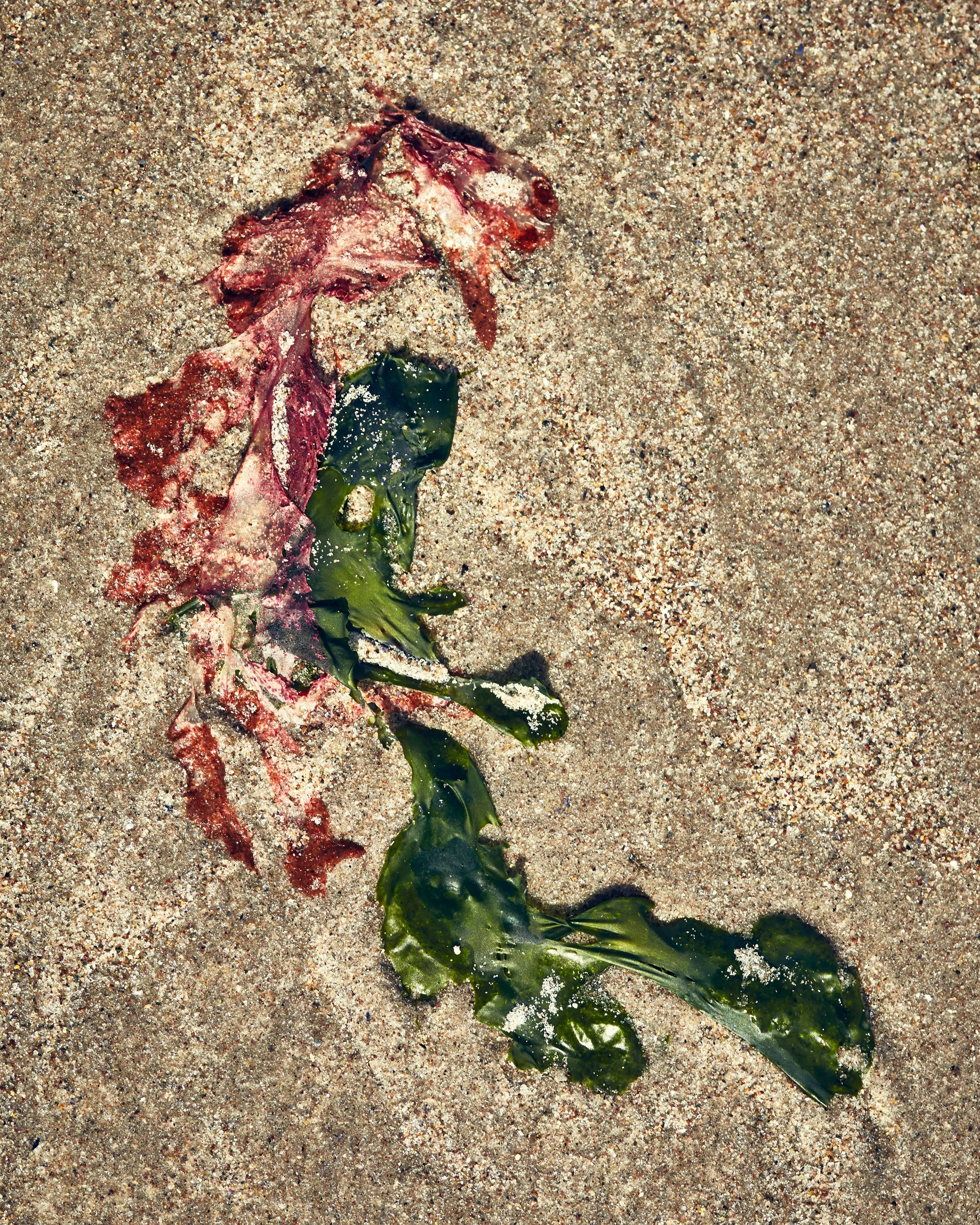 Nesteruk-171005-ConeyIsland-500-1.jpg