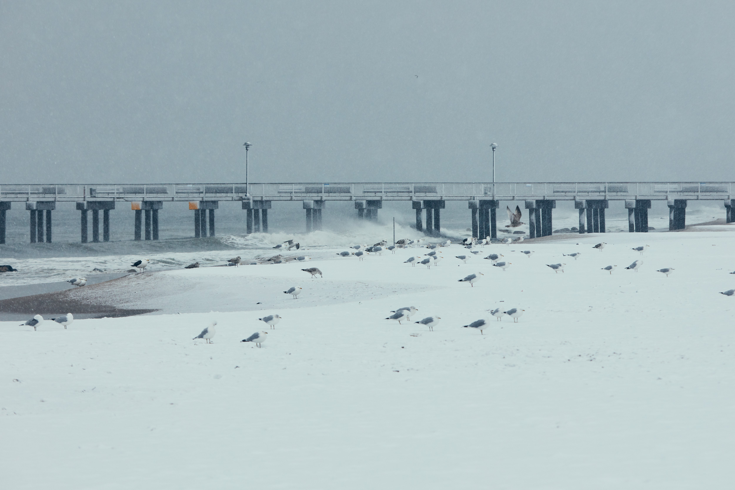 Nesteruk-180306-ConeyIsland-Cold-0898.jpg