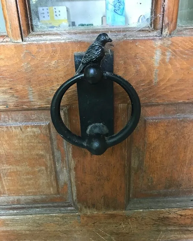 I can&rsquo;t prove it but I think a little bird just landed on this knocker and knocked on our back door. Ella heard it too. And yes those are spider webs and I don&rsquo;t care.