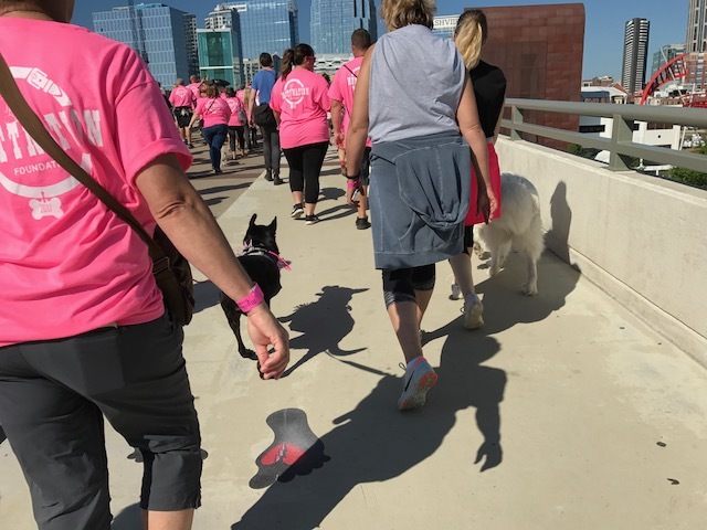 Digit met a three-legged dog on the walk.