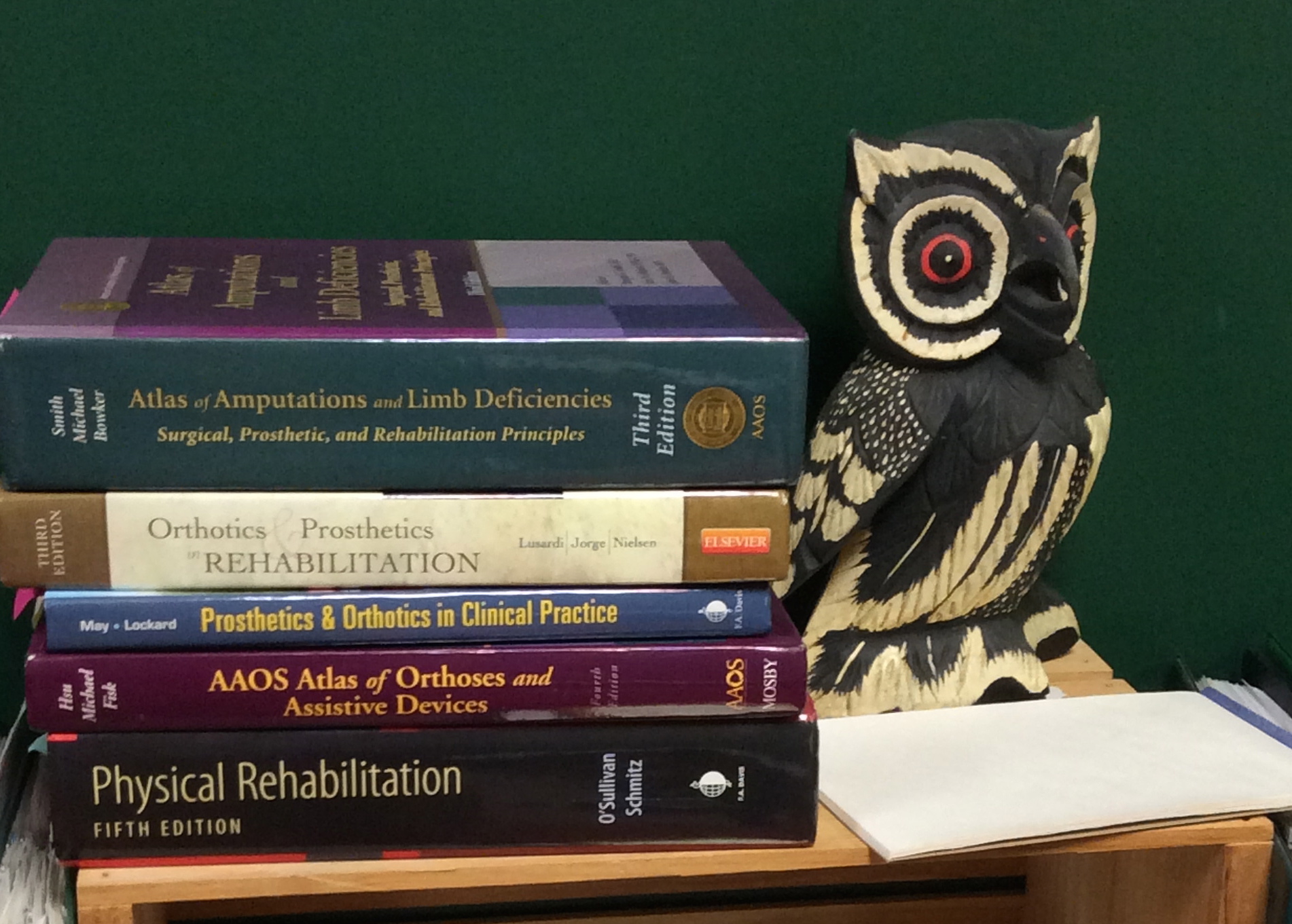 books Owl.jpeg