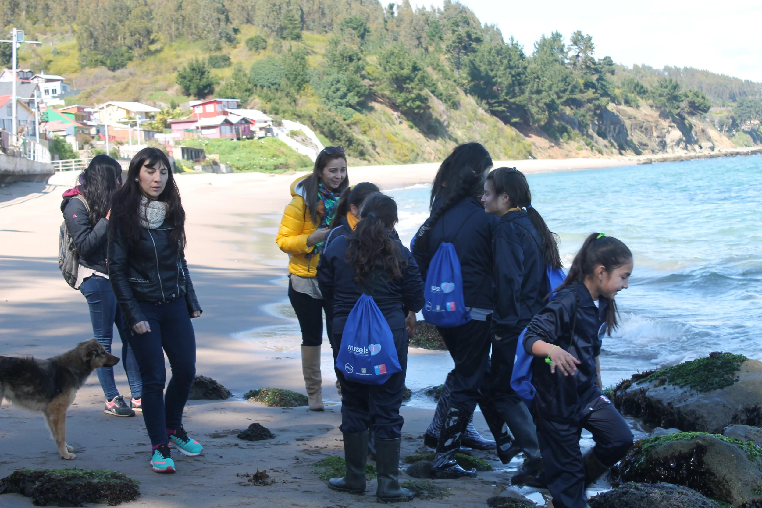 IMG_4530.JPG