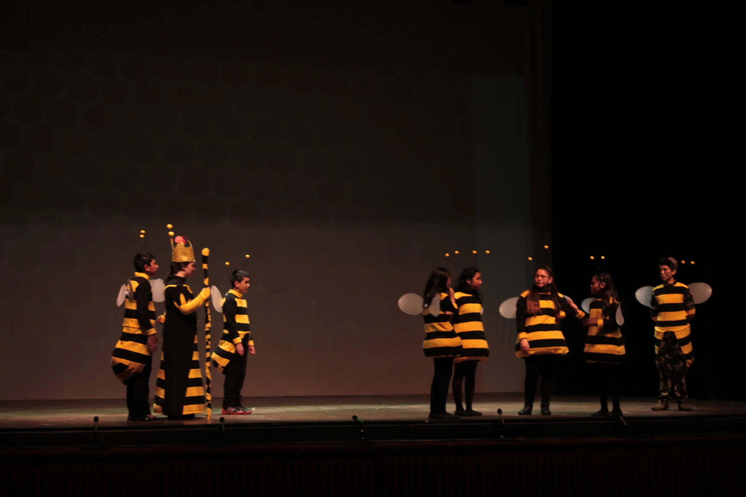 IMG_6865.JPG