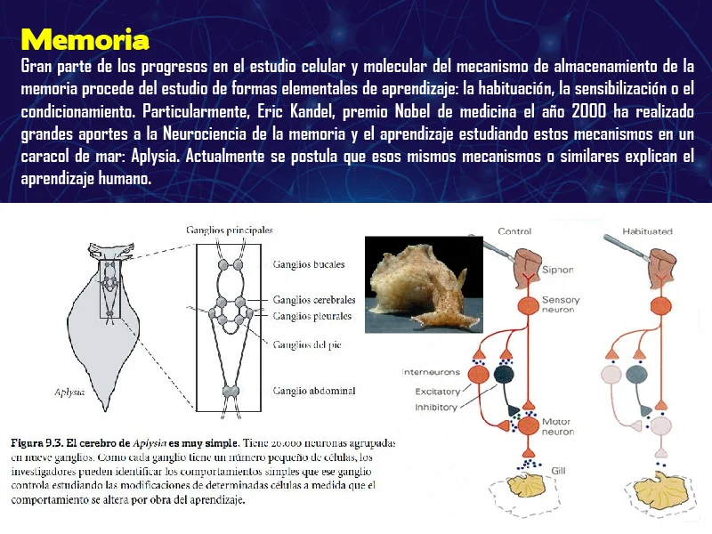 pantallas-08.jpg
