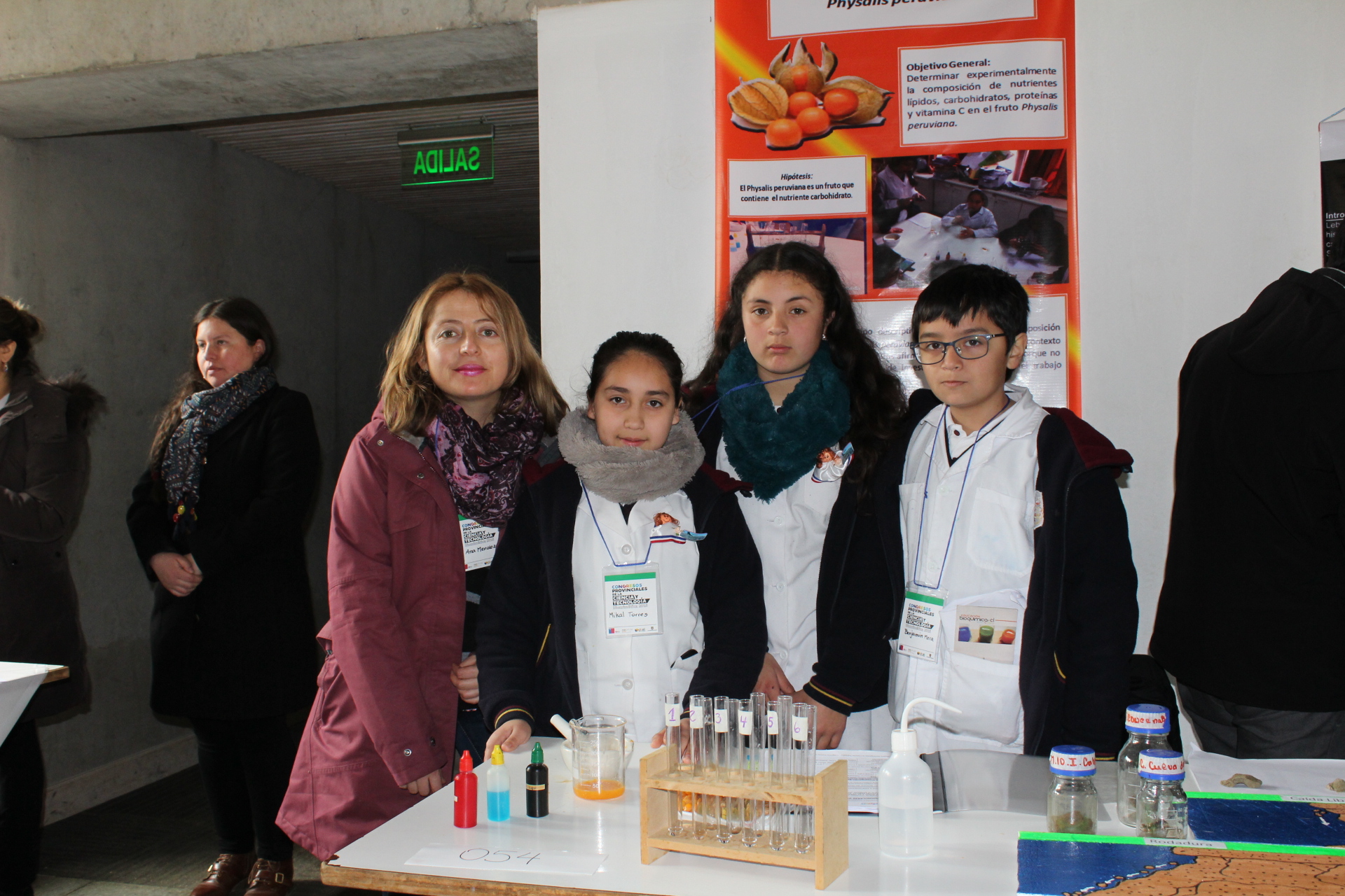 "Composición Química del Physalis peruviana" Liceo Fresia Graciela Müller Ruiz de Lebu