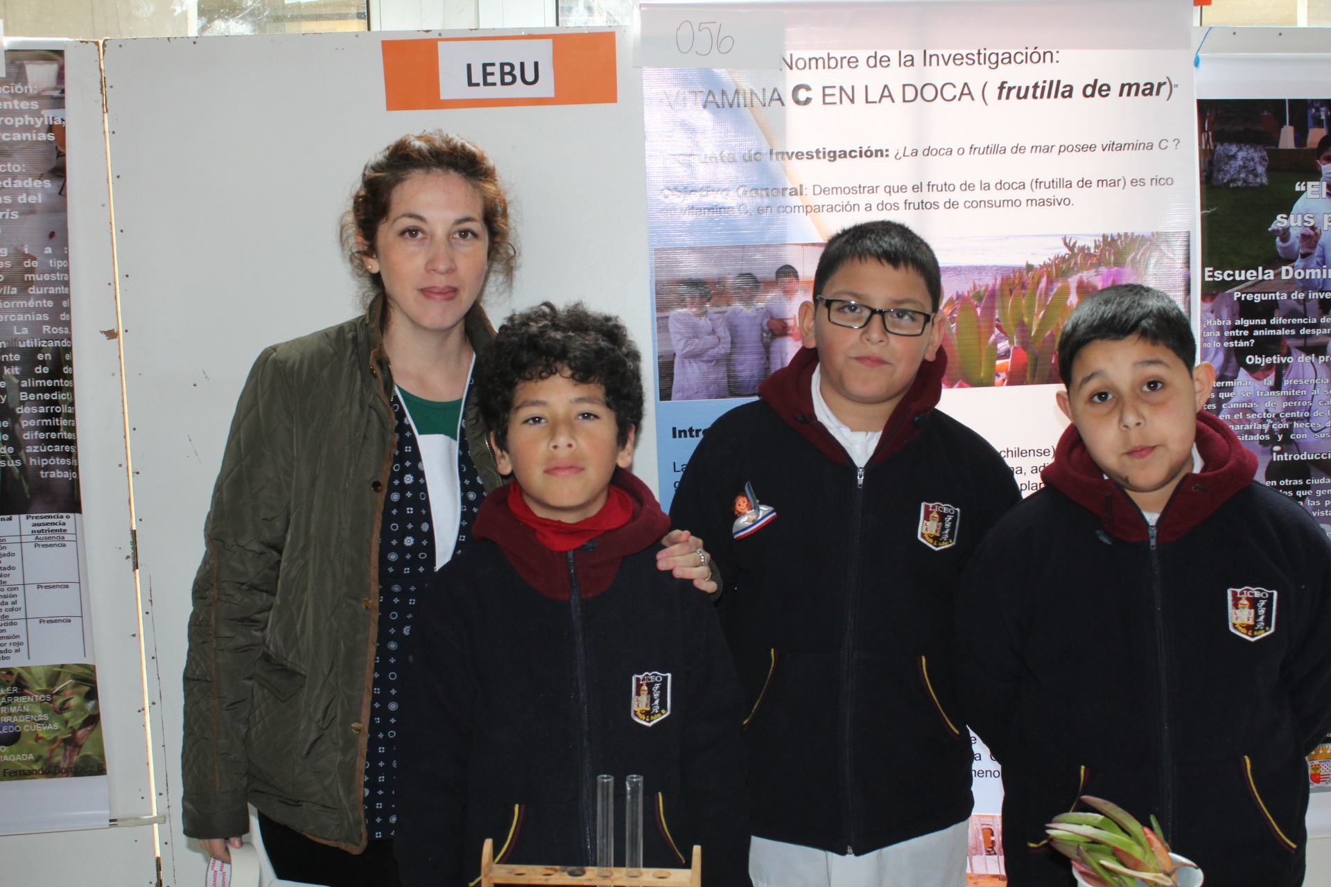 "Vitamina C en la Doca (Frutilla de mar)" Liceo Fresia Graciela Müller Ruiz de Lebu