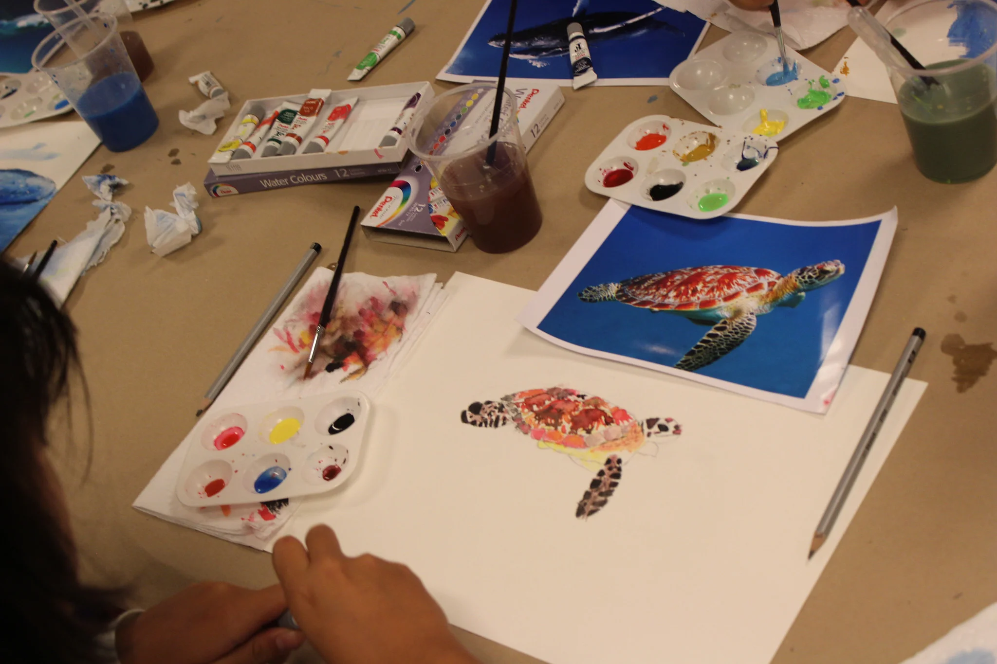 Taller de Ilustración Científica (5).jpg