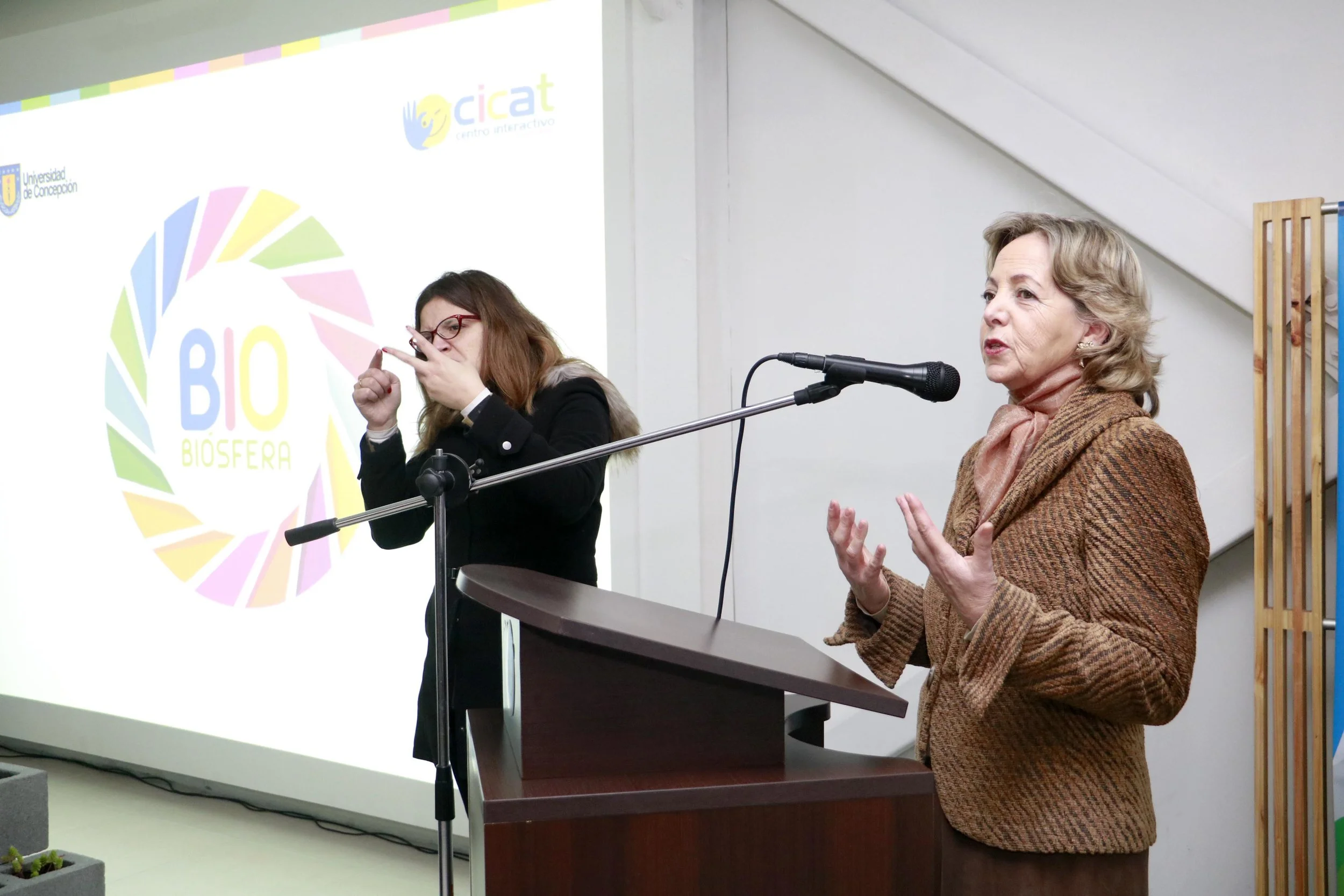 inauguracion  cicat 035.jpg