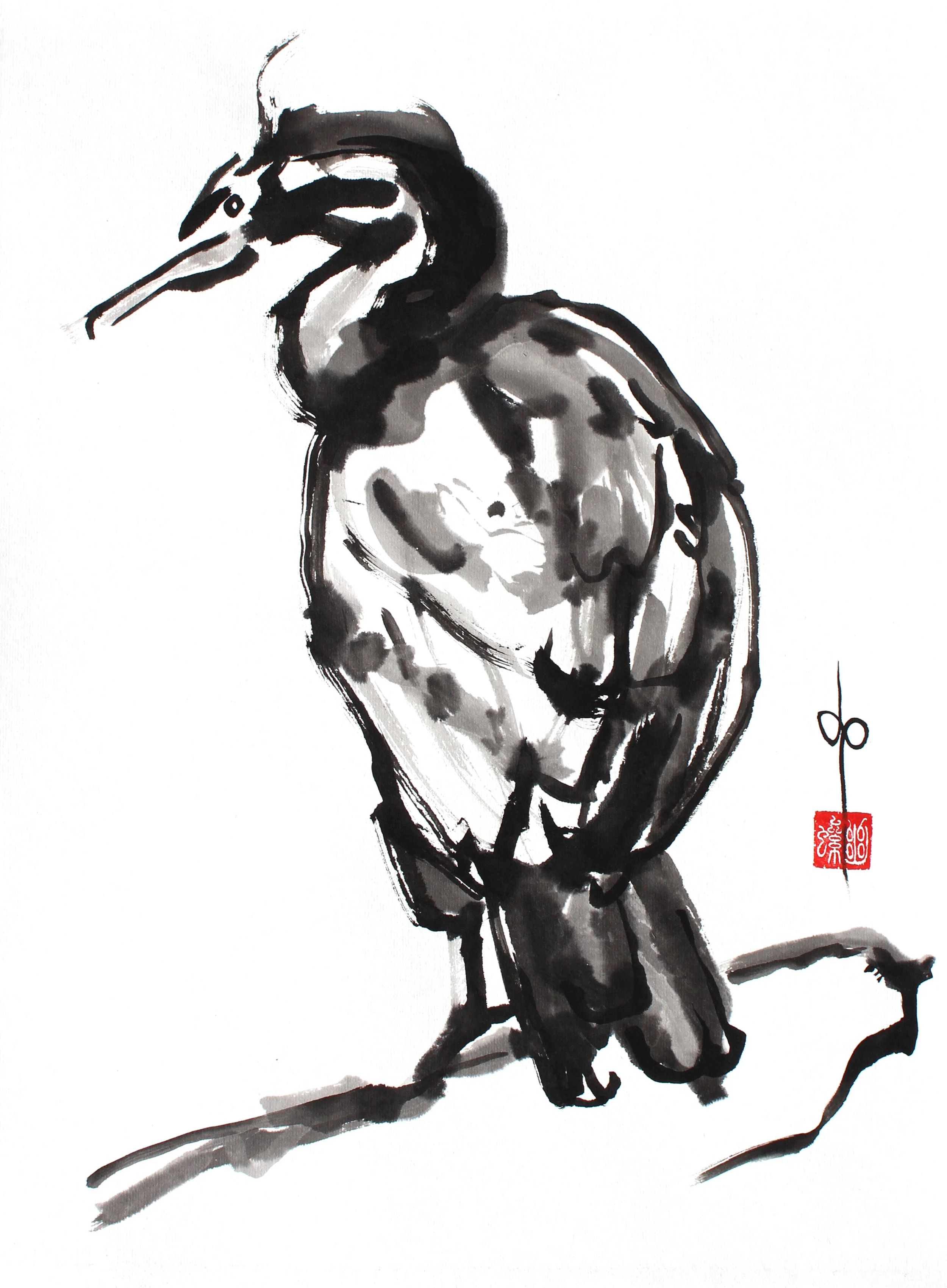  Double-crested Cormorant / 2013 / sumi with rabbit brush / 18 x 13  