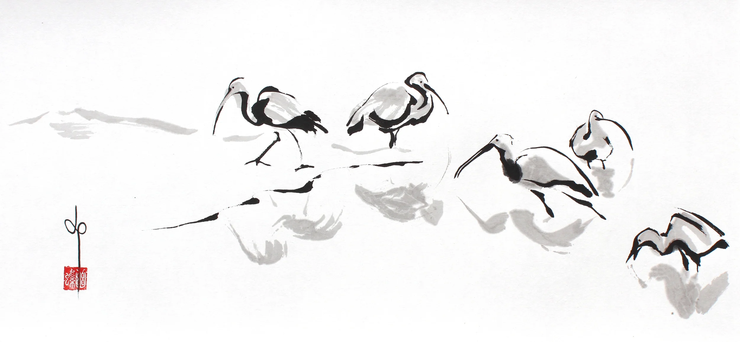 White Ibis Quintet / 2013