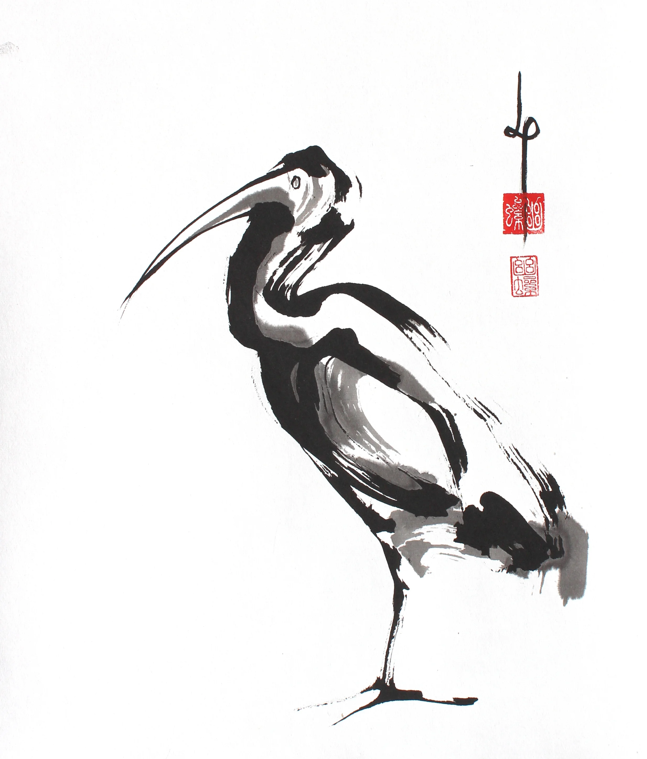  White Ibis / 2013 / sumi with raccoon brush / 14 x 13  