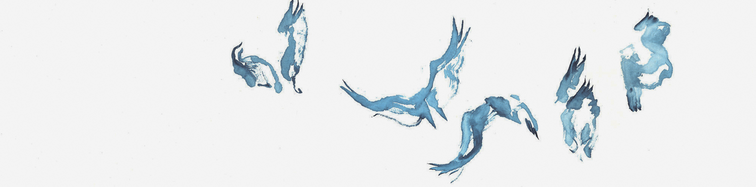Traces of an Ibis / 2014