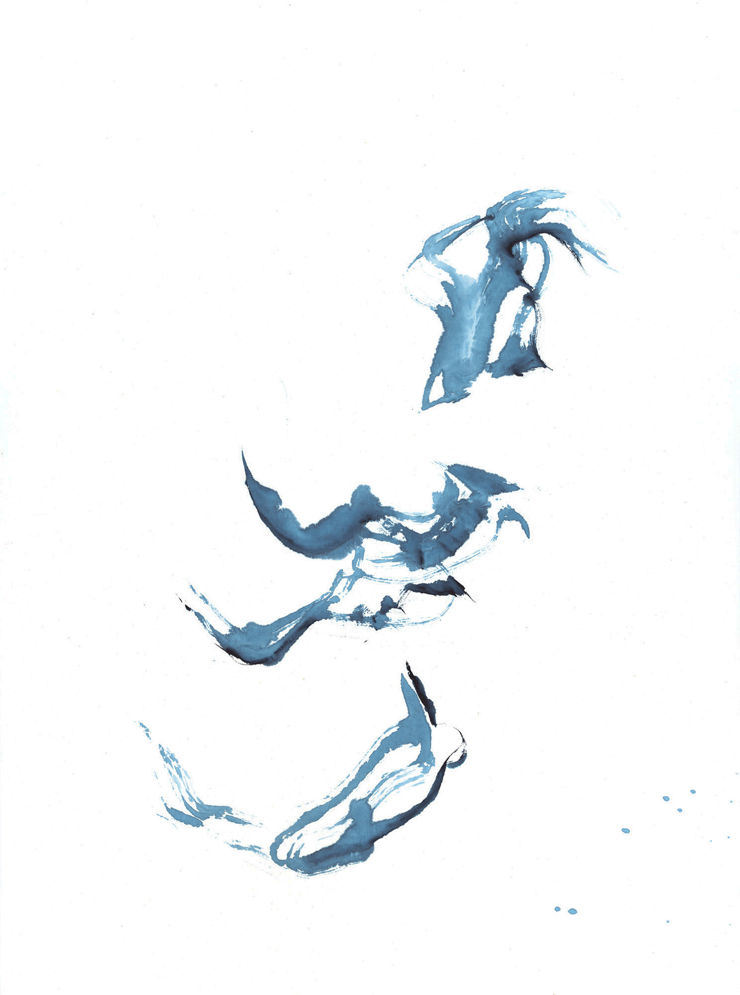 Traces of a Pelican / 2014