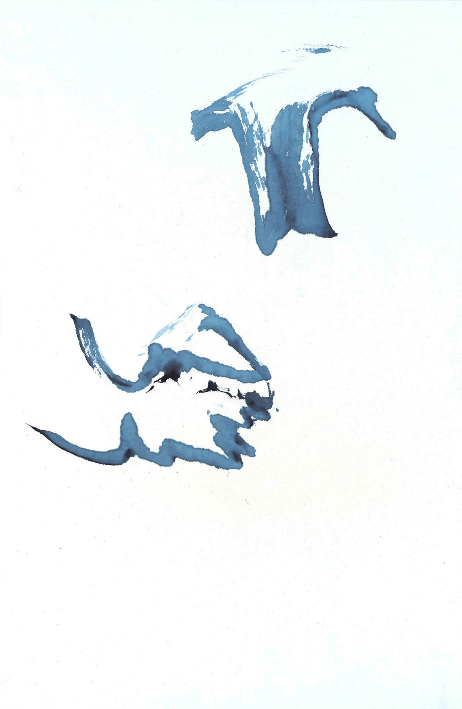 Traces of a Pelican 2 / 2014