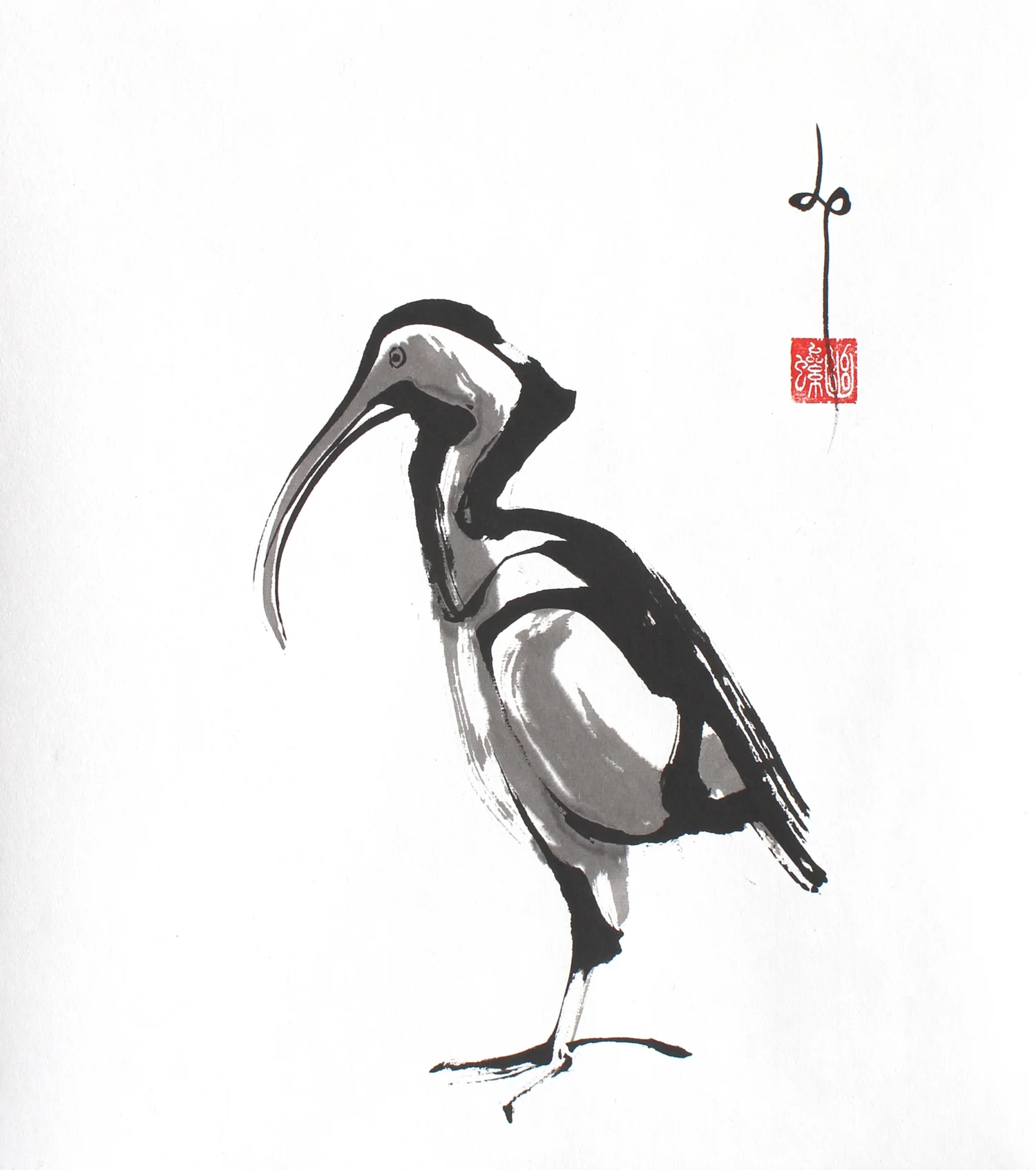 White Ibis / 2013