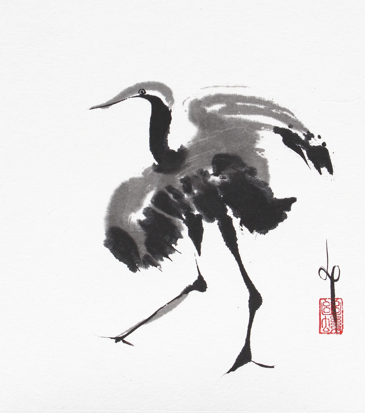 Reddish Egret / 2013