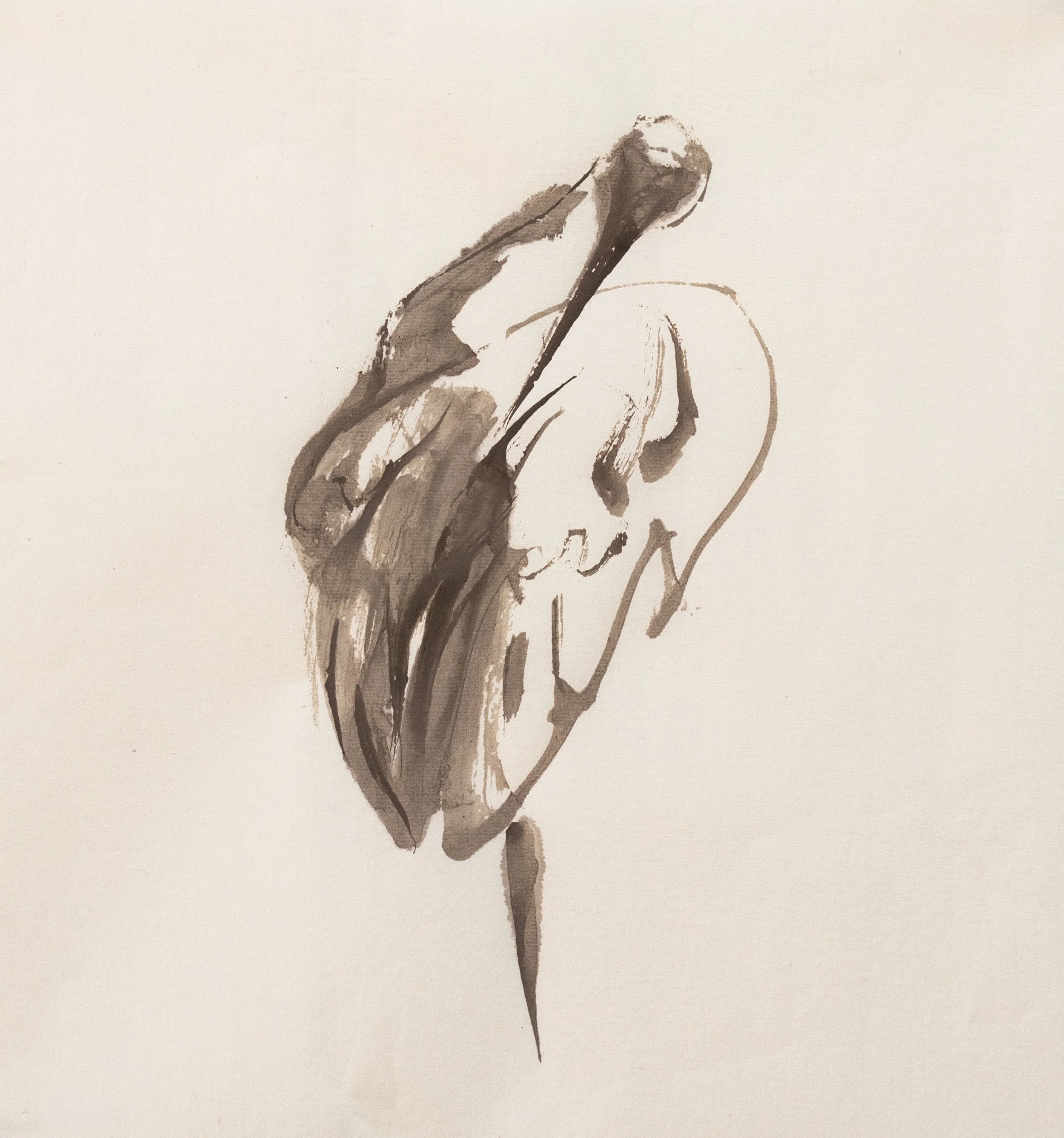 Feather Staining / 2019