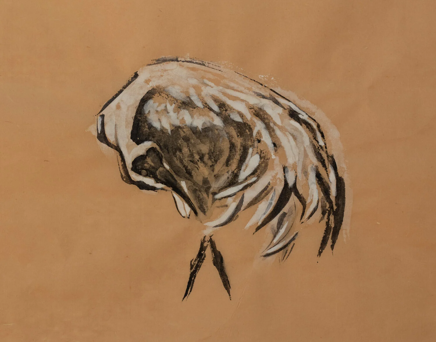 The Feather / 2018