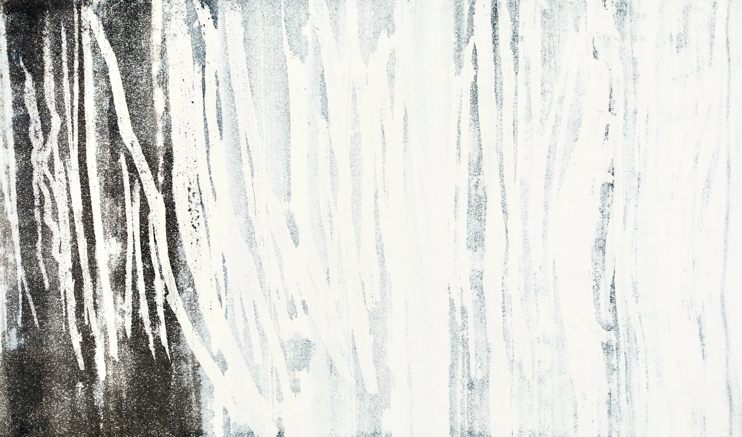  Aspen Forest 2 / 2024 / sumi  and  beeswax on  kozo paper with mole brush / 16 × 24 