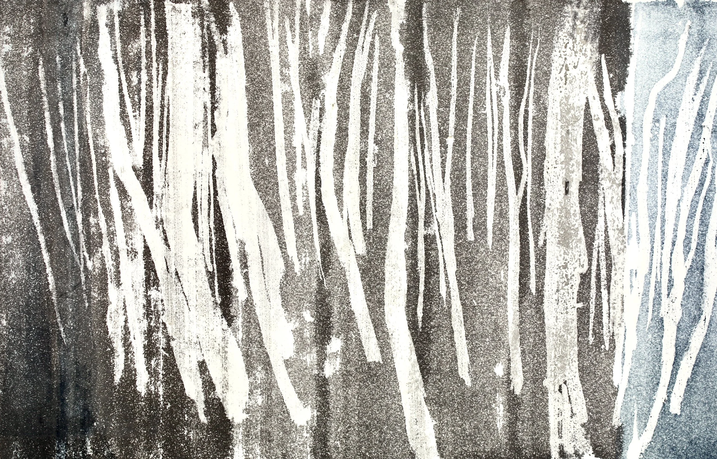 Aspen Forest 1 / 2024 / sumi,  indigo  and beeswax on kozo paper / 16 × 23 