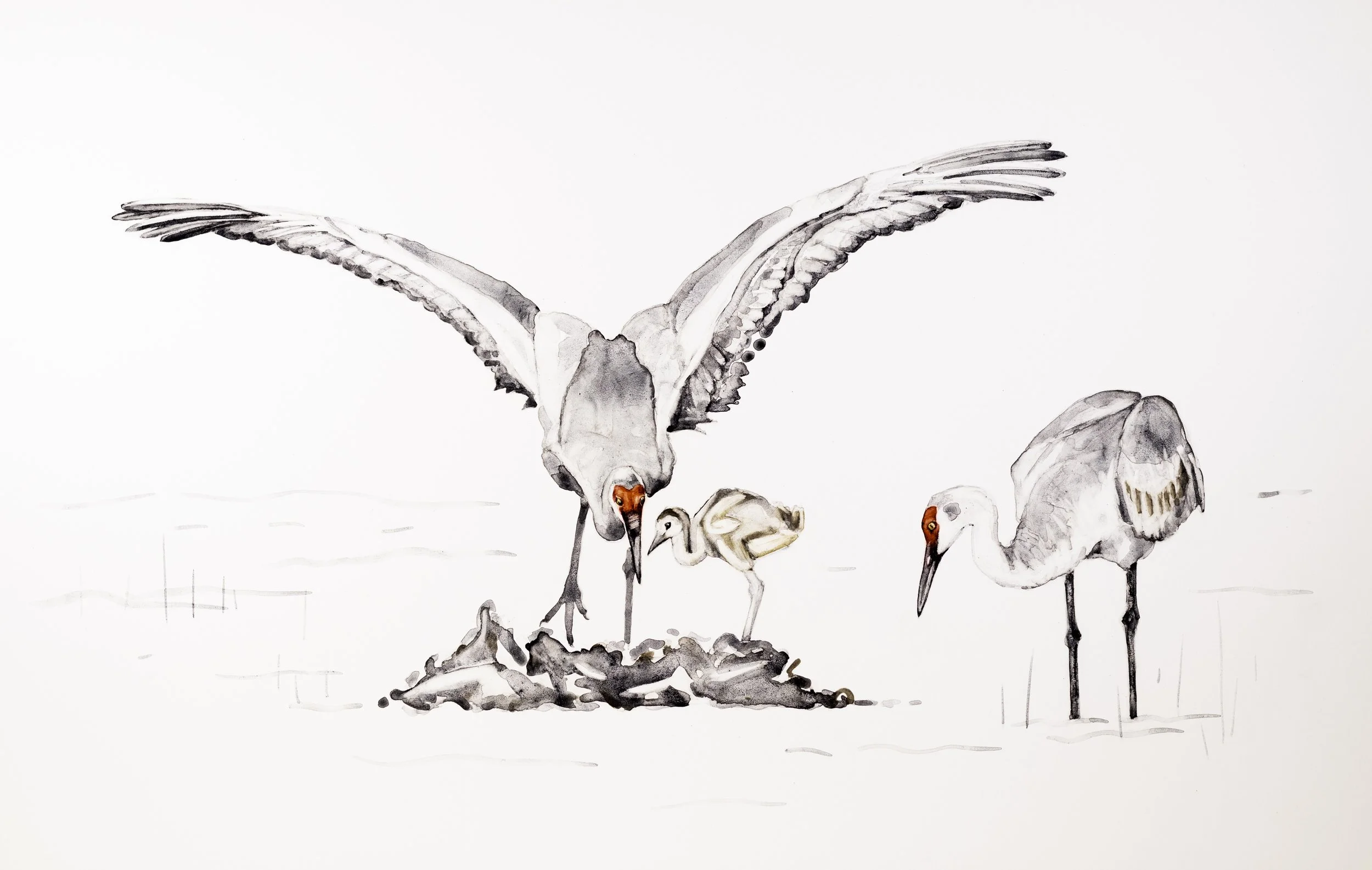 Family / 2026 / handmade watercolor on Claybord / 12 × 19 