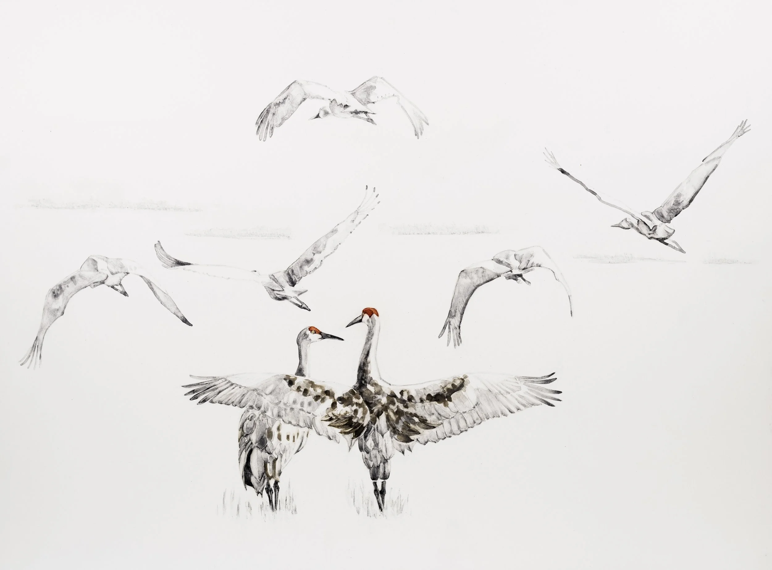  Wingspan / 2026 / handmade watercolor on Claybord /  14.5 × 19.5 