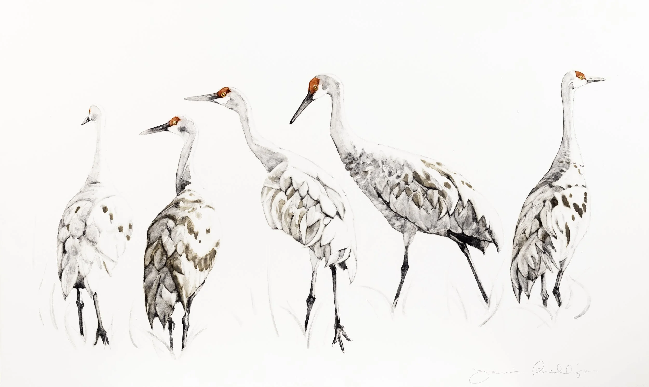  All Our Fancy Feathers / 2026 / handmade watercolor on Claybord /  12 × 20 