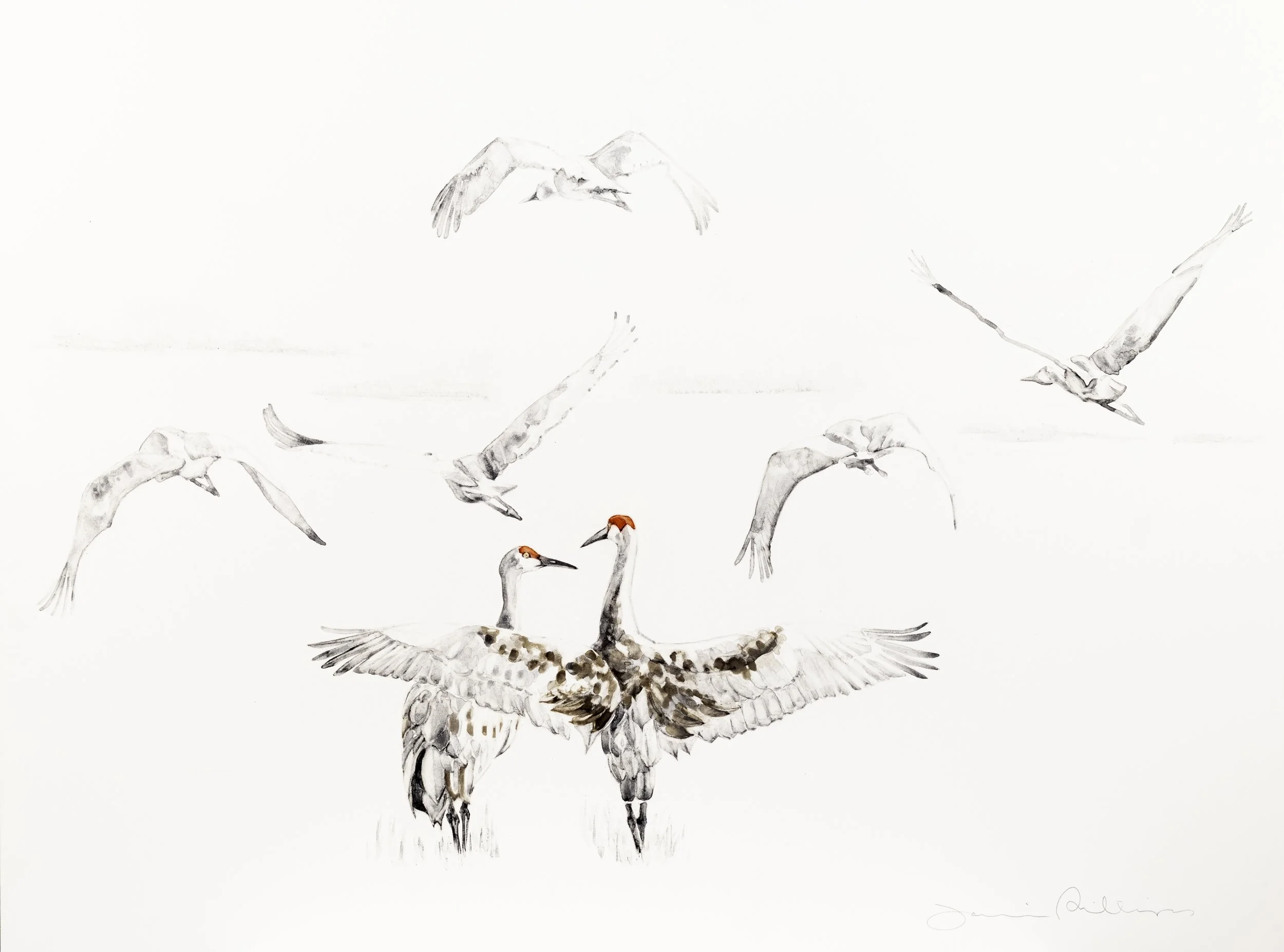  Wingspan / 2026 / handmade watercolor on Claybord /  14.5 × 19.5 