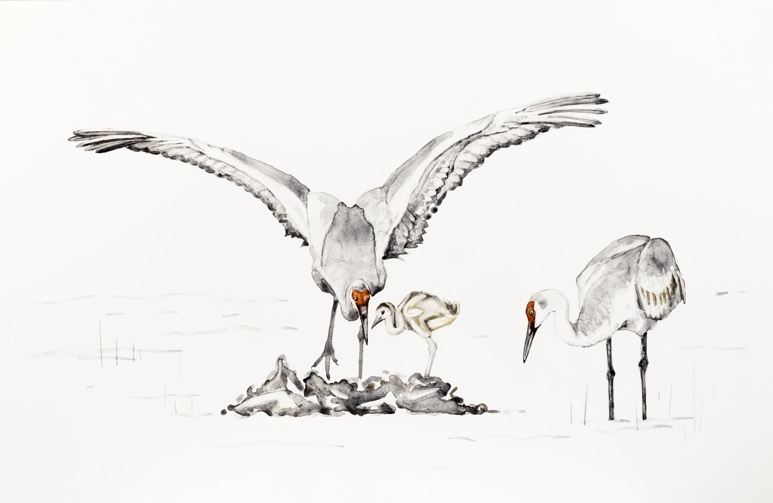  Family / 2026 / handmade watercolor on Claybord / 12 × 19 