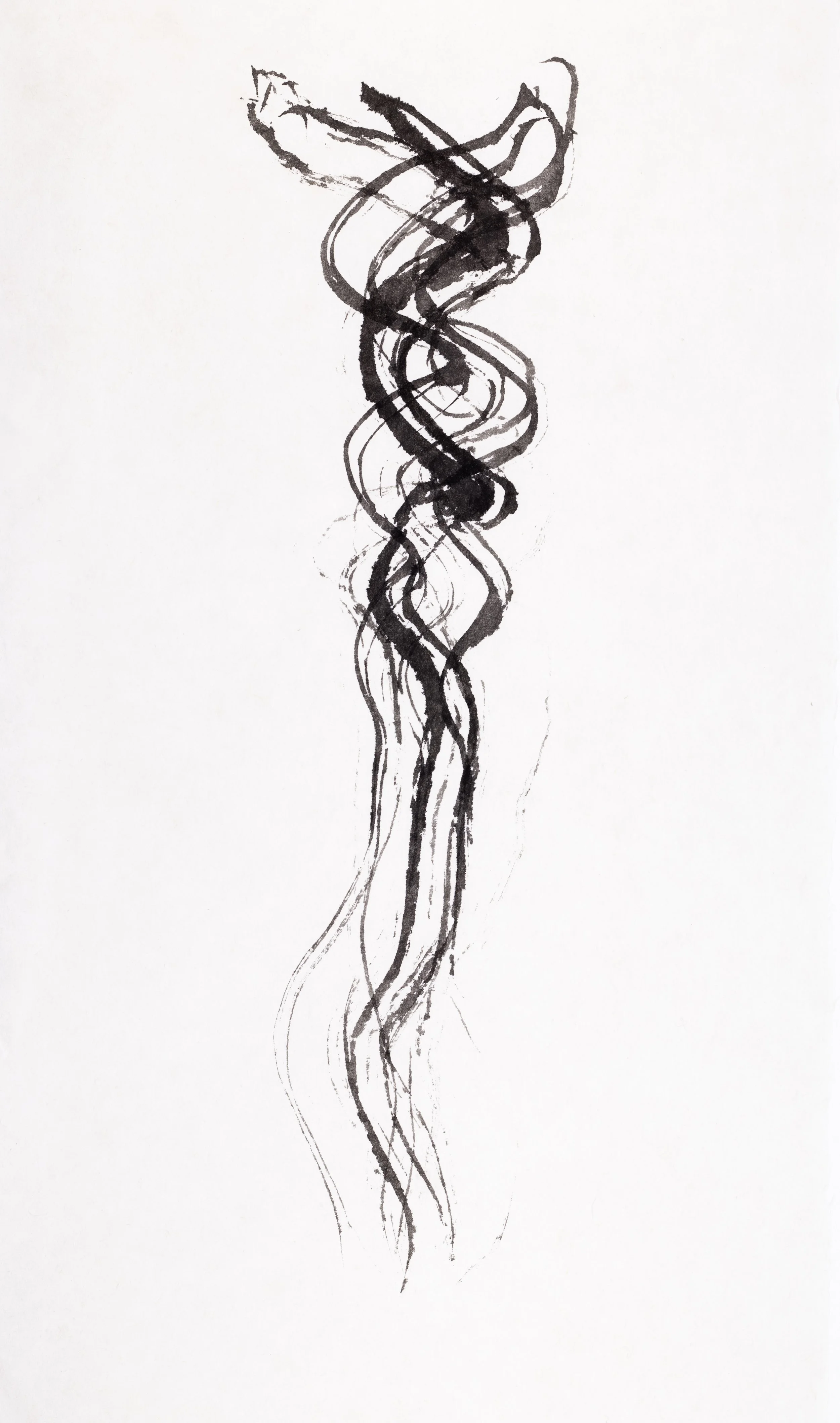  Braid 1 / 2025 / sumi on  kozo  paper with skunk brush /32 x  18 