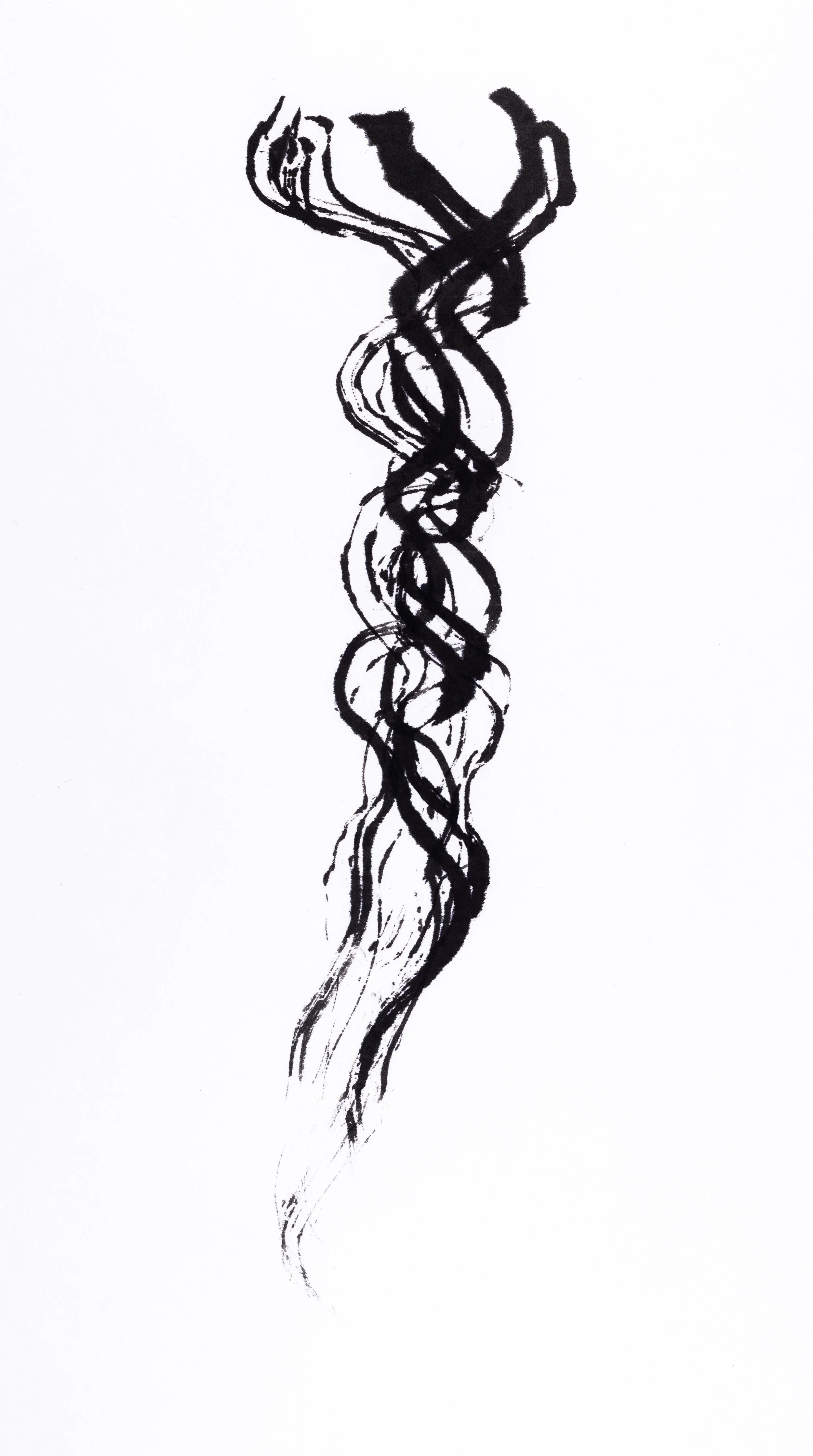  Braid 3 / 2025 /  sumi on edgeworthia paper with skunk brush / 21 × 32 
