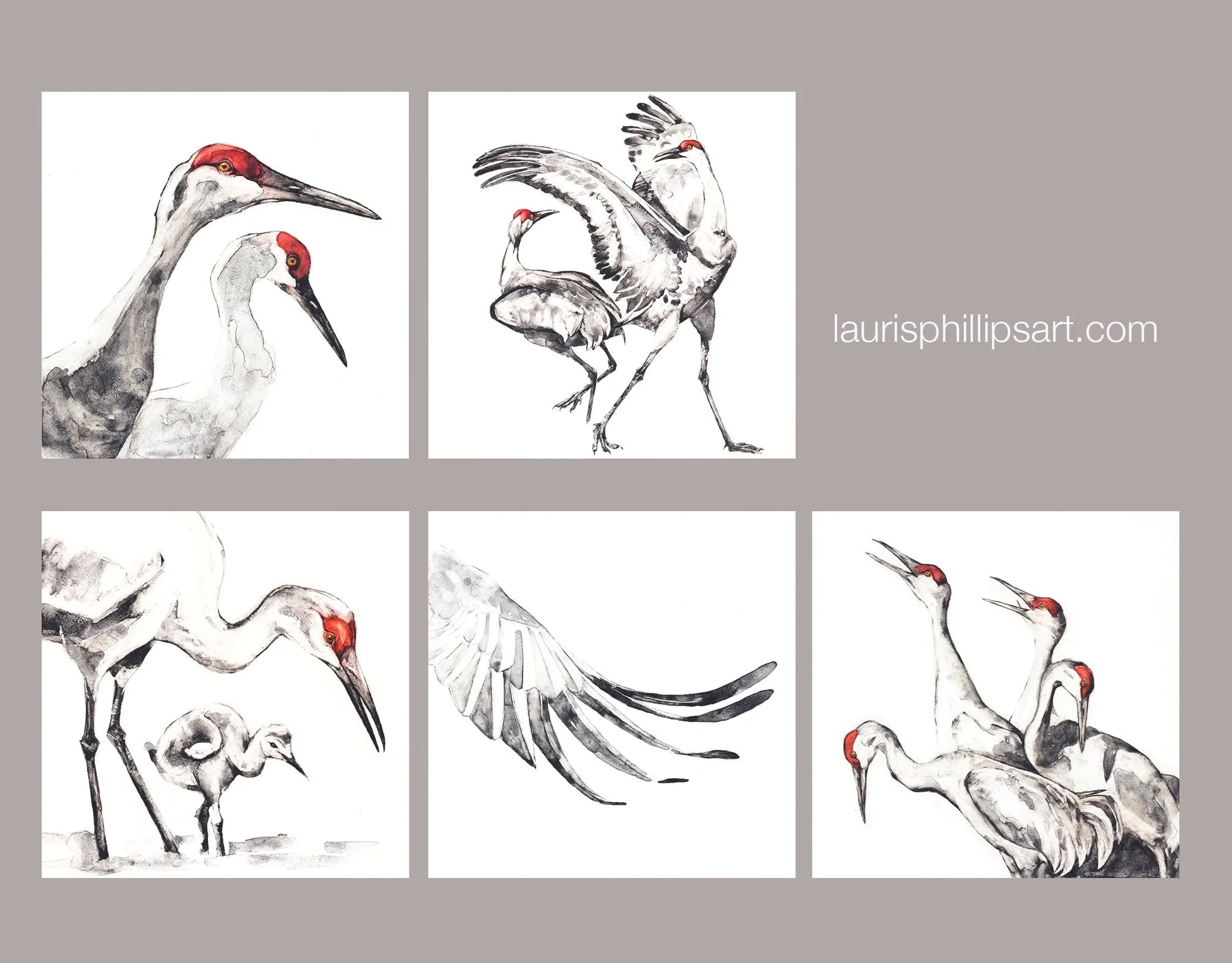  CARD SET #5 
