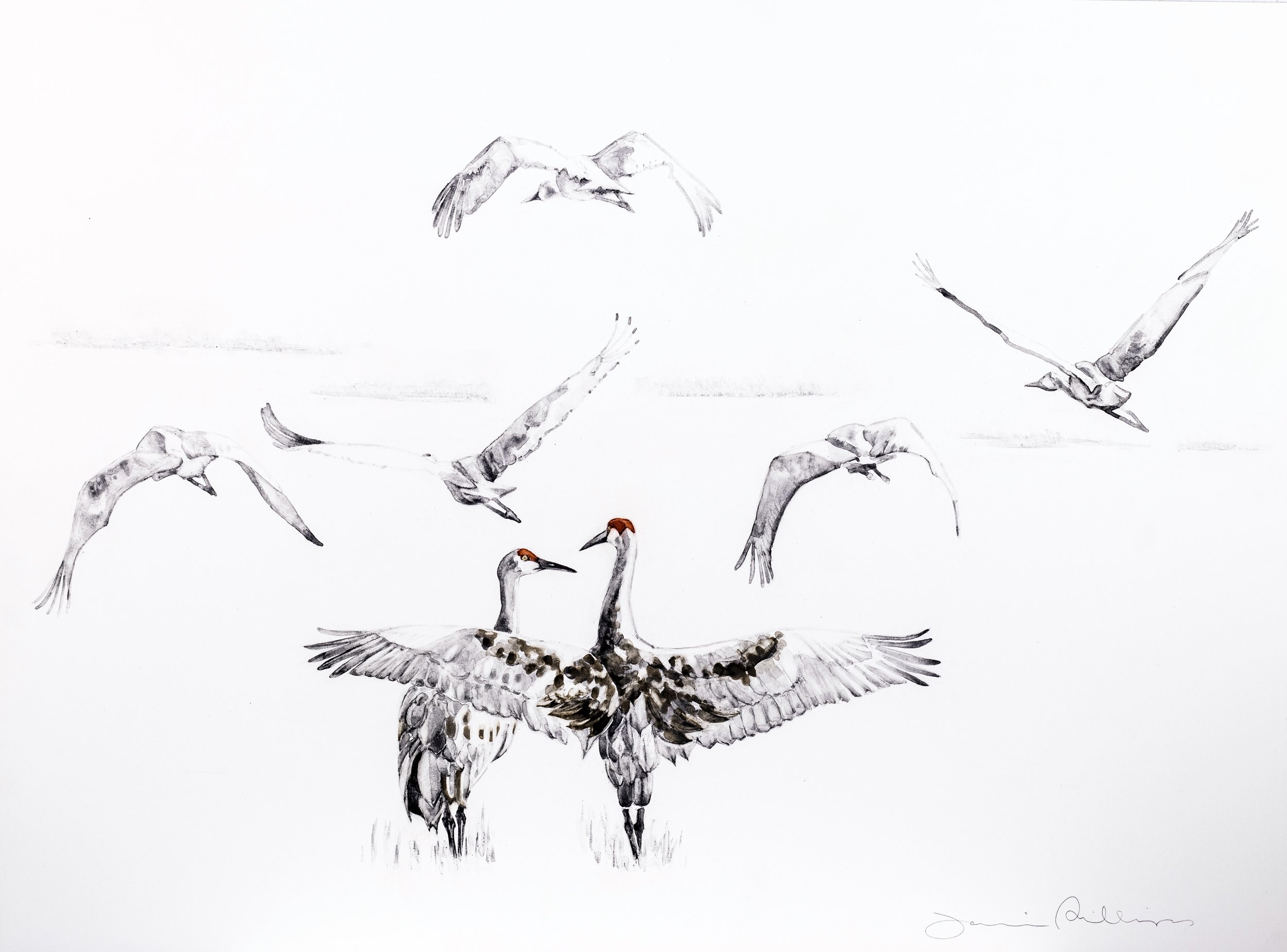  Wingspan / 2026 / handmade watercolor on Claybord /  14.5 × 19.5 