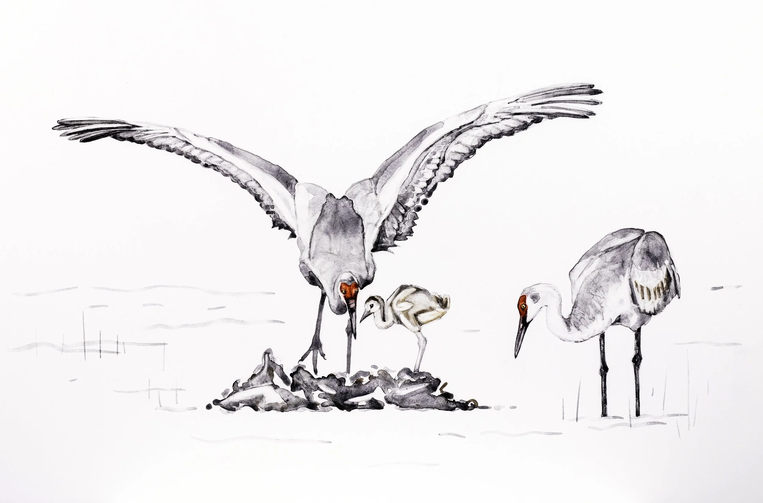  Family / 2026 / handmade watercolor on Claybord / 12 × 19 