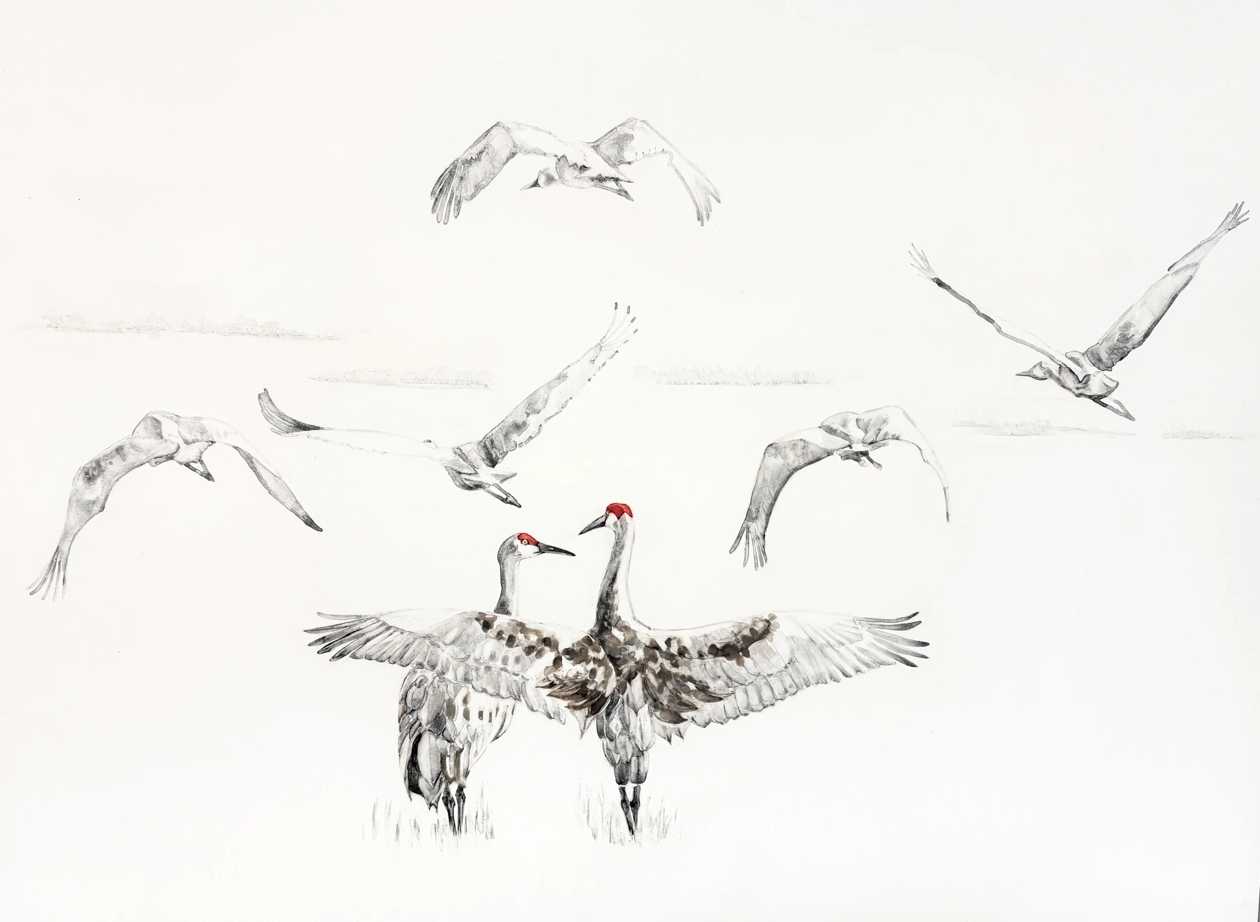  Wingspan / 2026 / handmade watercolor on Claybord /  14.5 × 19.5 