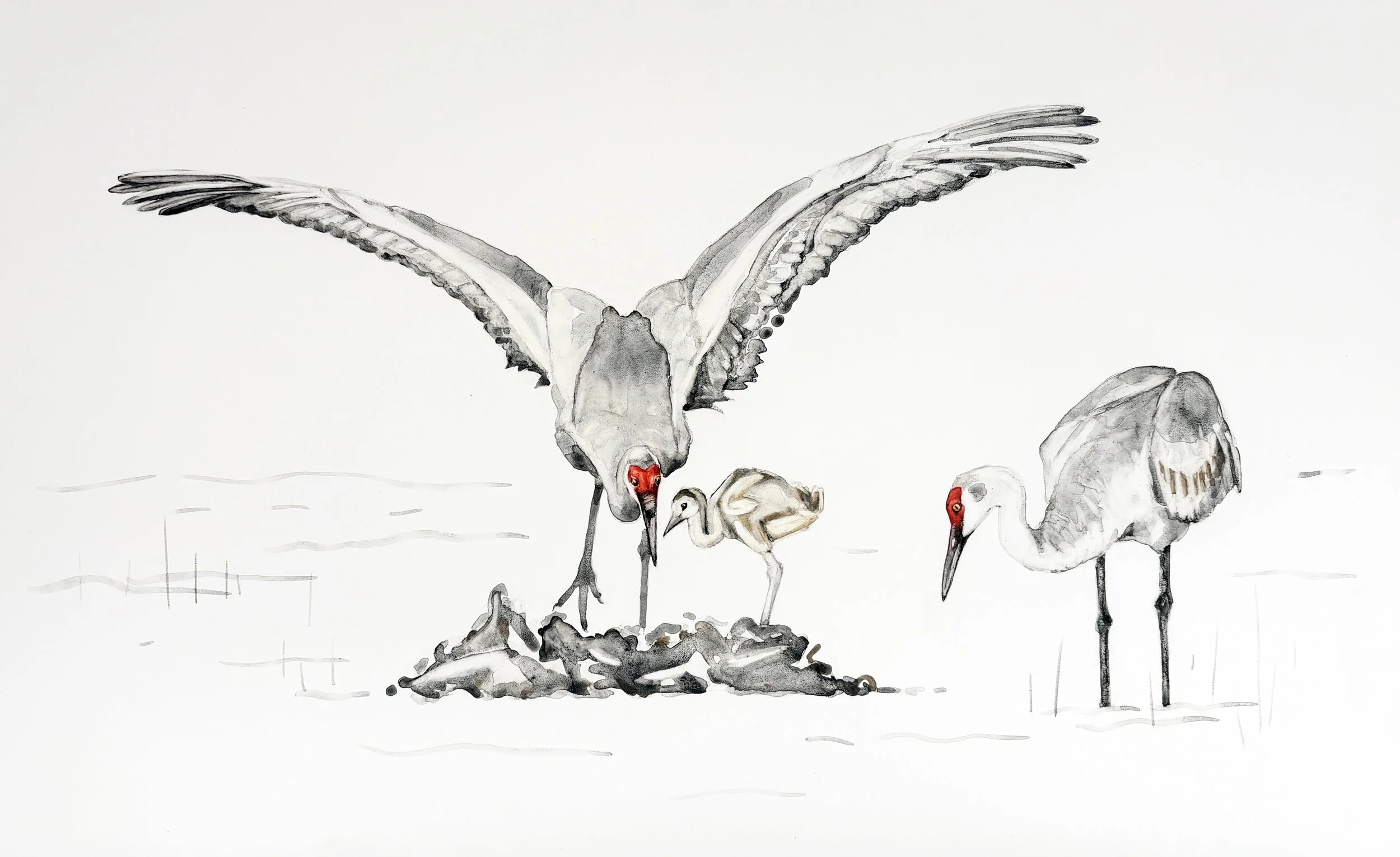  Family / 2026 / handmade watercolor on Claybord / 12 × 19 