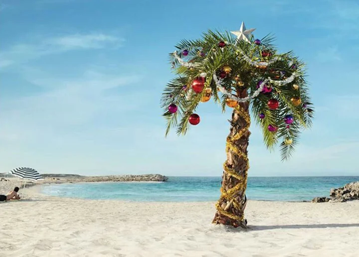 christmas-palm02.jpg