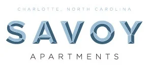 1217-sav-logo_forlightbackground-primary.jpg
