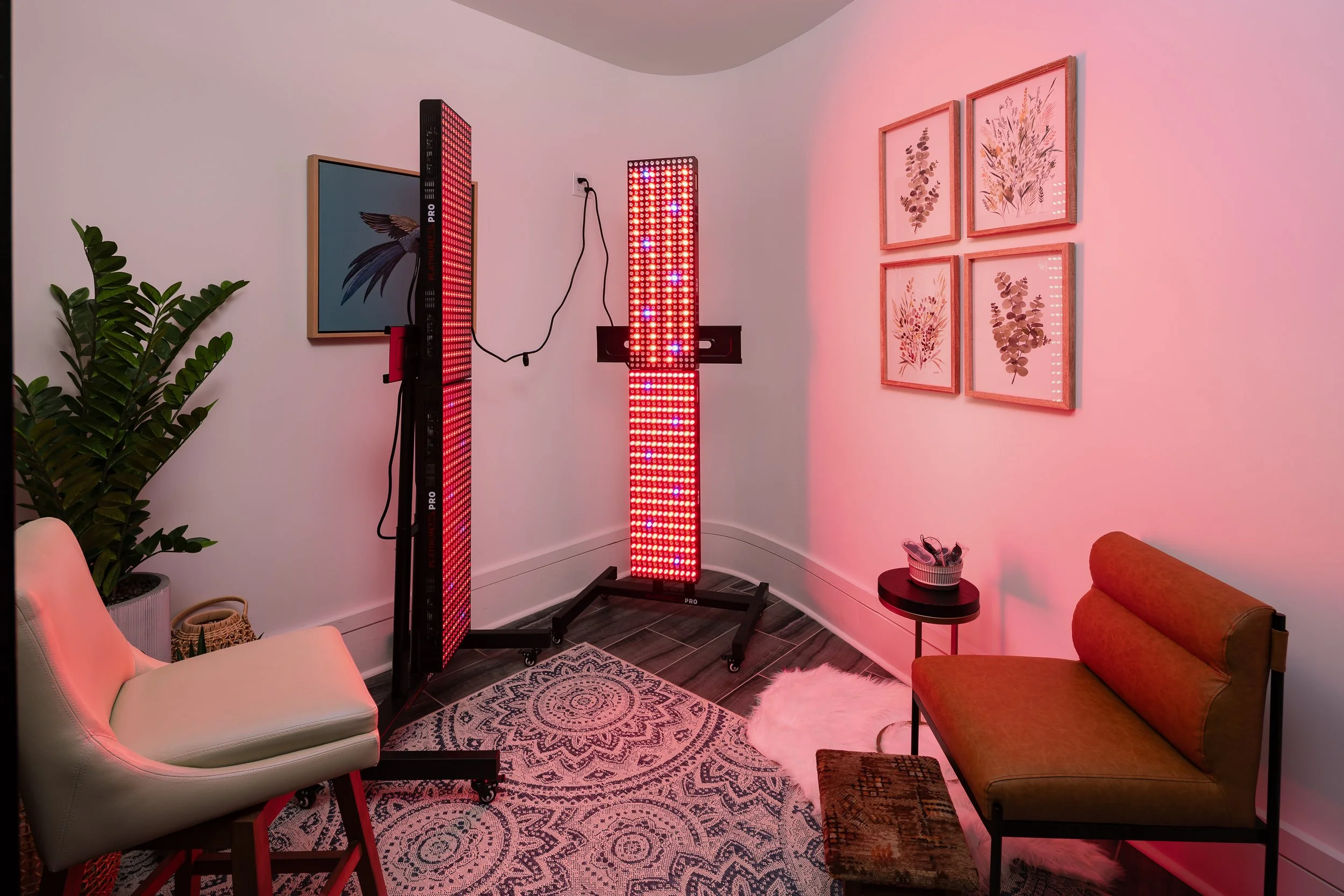 Chamberlain House_2026_Interiors_149 (1).jpg
