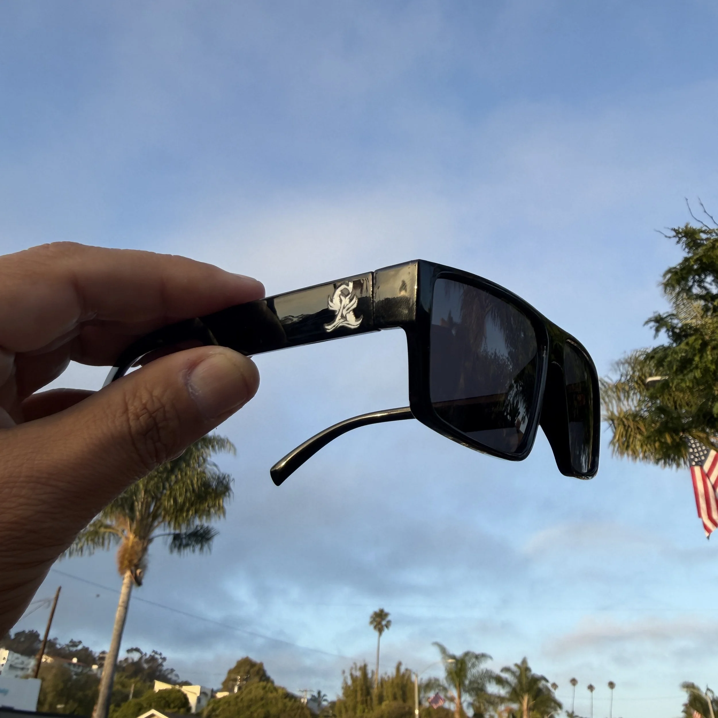 shades 2.JPG