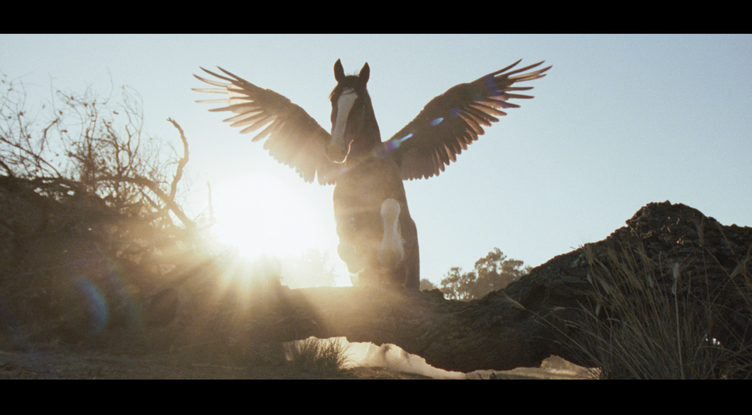 Budweiser American Icons Super Bowl LX