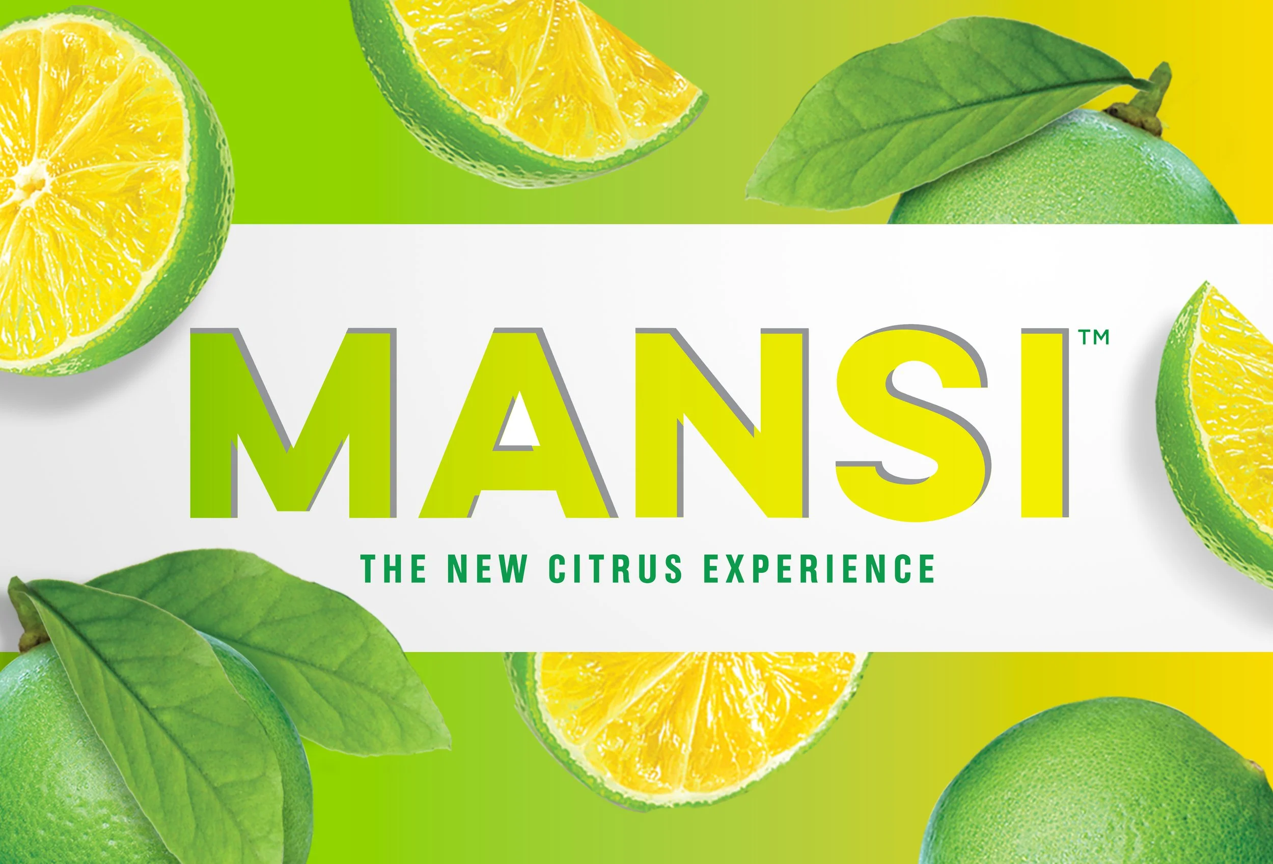 Mansi-banner2.jpg