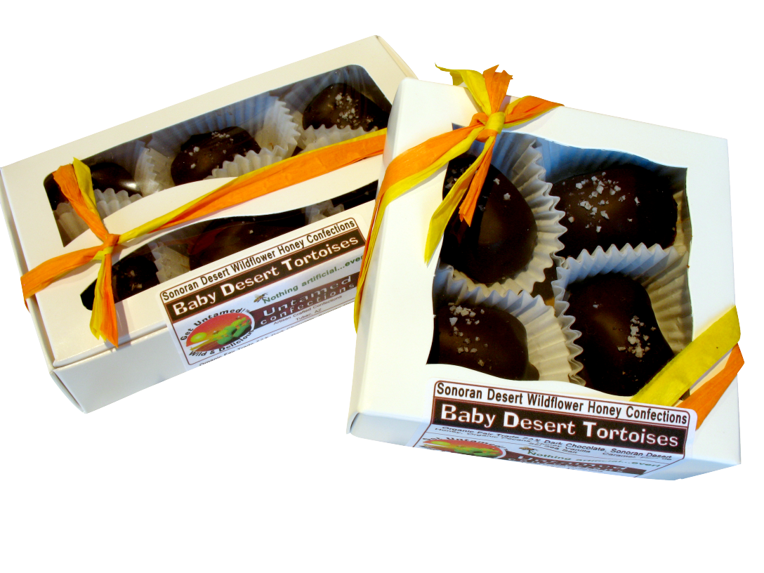 Baby Desert Tortoise 6 pk 4pk website.png