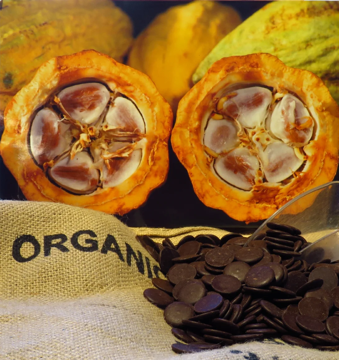 Fair-Trade Organic Dark Chocolate