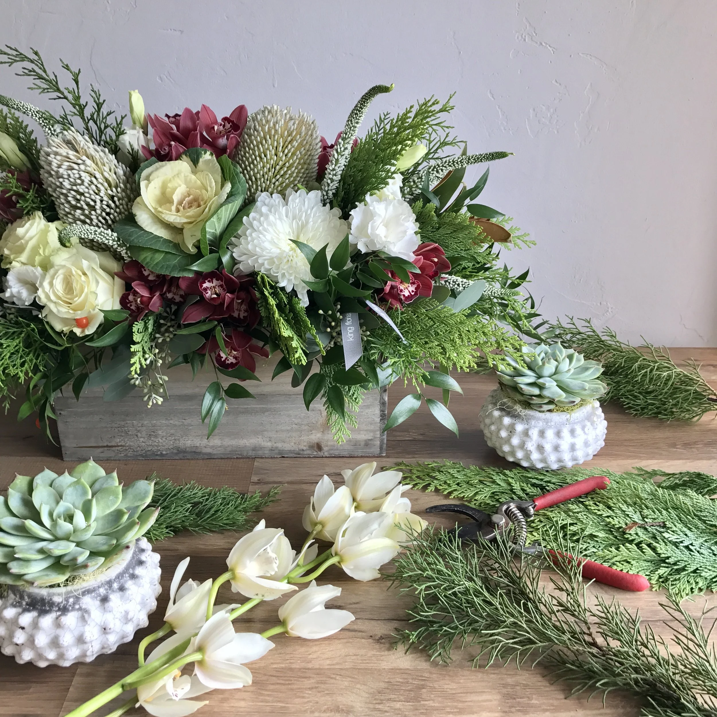 Flora Box showing off some of her sendable succulent friends from Austin Succulents .