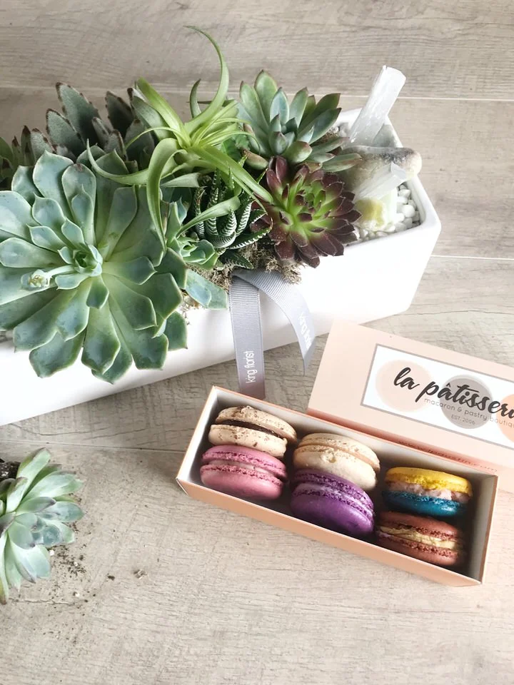 succulents