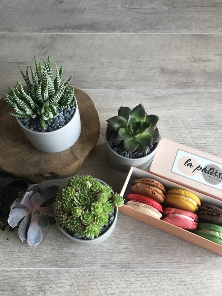 rainey st austin florist