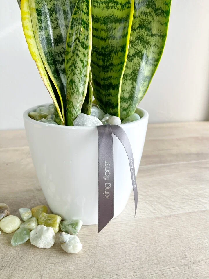 King Florist Best florist in Austin Flowers Delivered Same Day