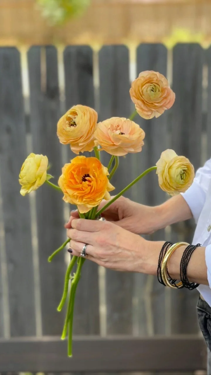 King Florist Best florist in Austin Flowers Delivered Same Day