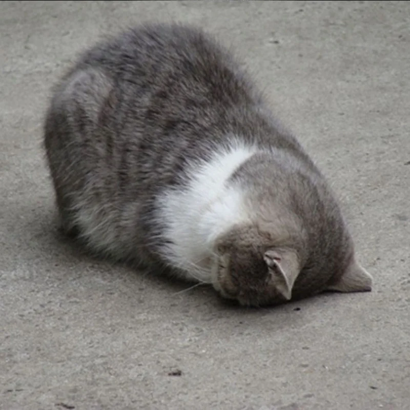 An Introvert's Guide to Beating Burnout